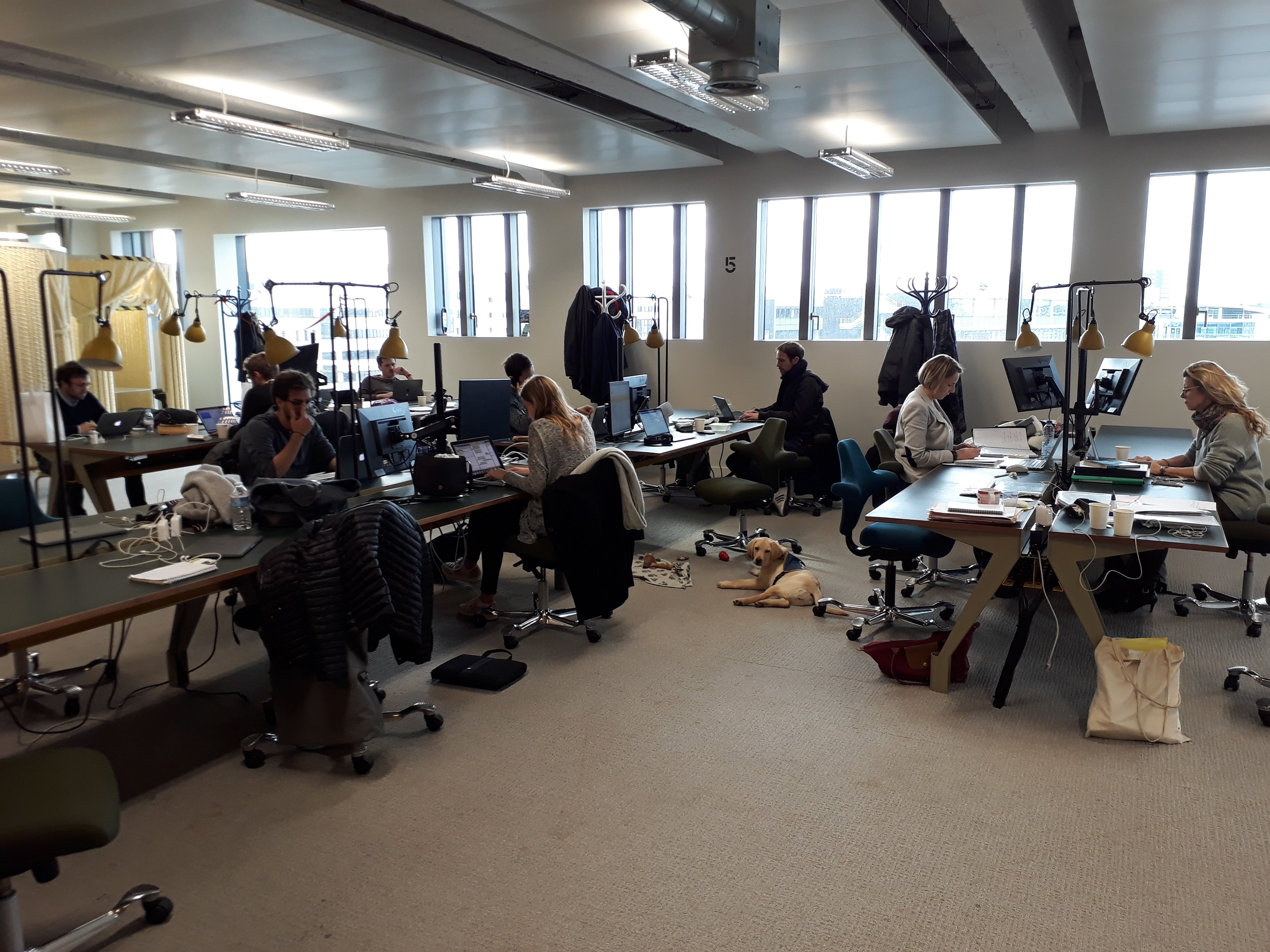 L'openspace de l'équipe Peugeot, avec Noma au centre de la photo et des personnes qui travaillent à l'ordinateur