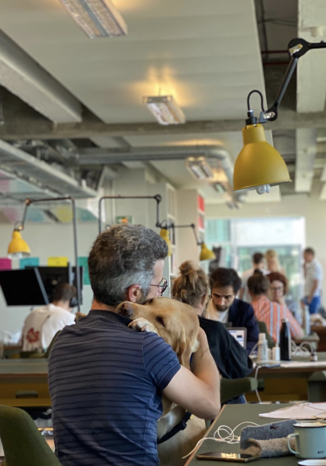 Homme assis dans un open space tenant un chien guide dans ses bras, collègues travaillant en arrière-plan.