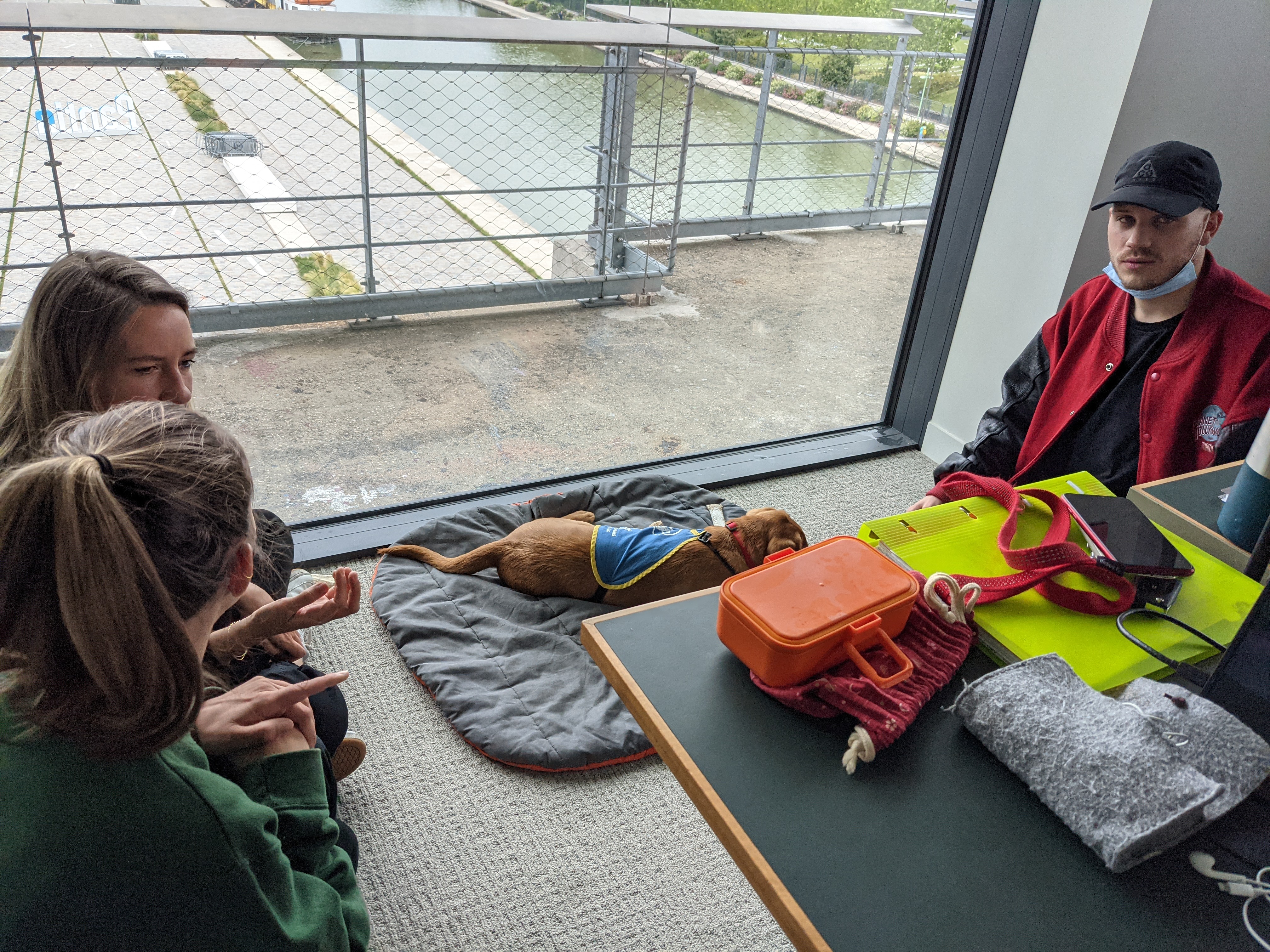 Chien guide couché sur un coussin près d’une baie vitrée, personnes discutant autour d’une table.