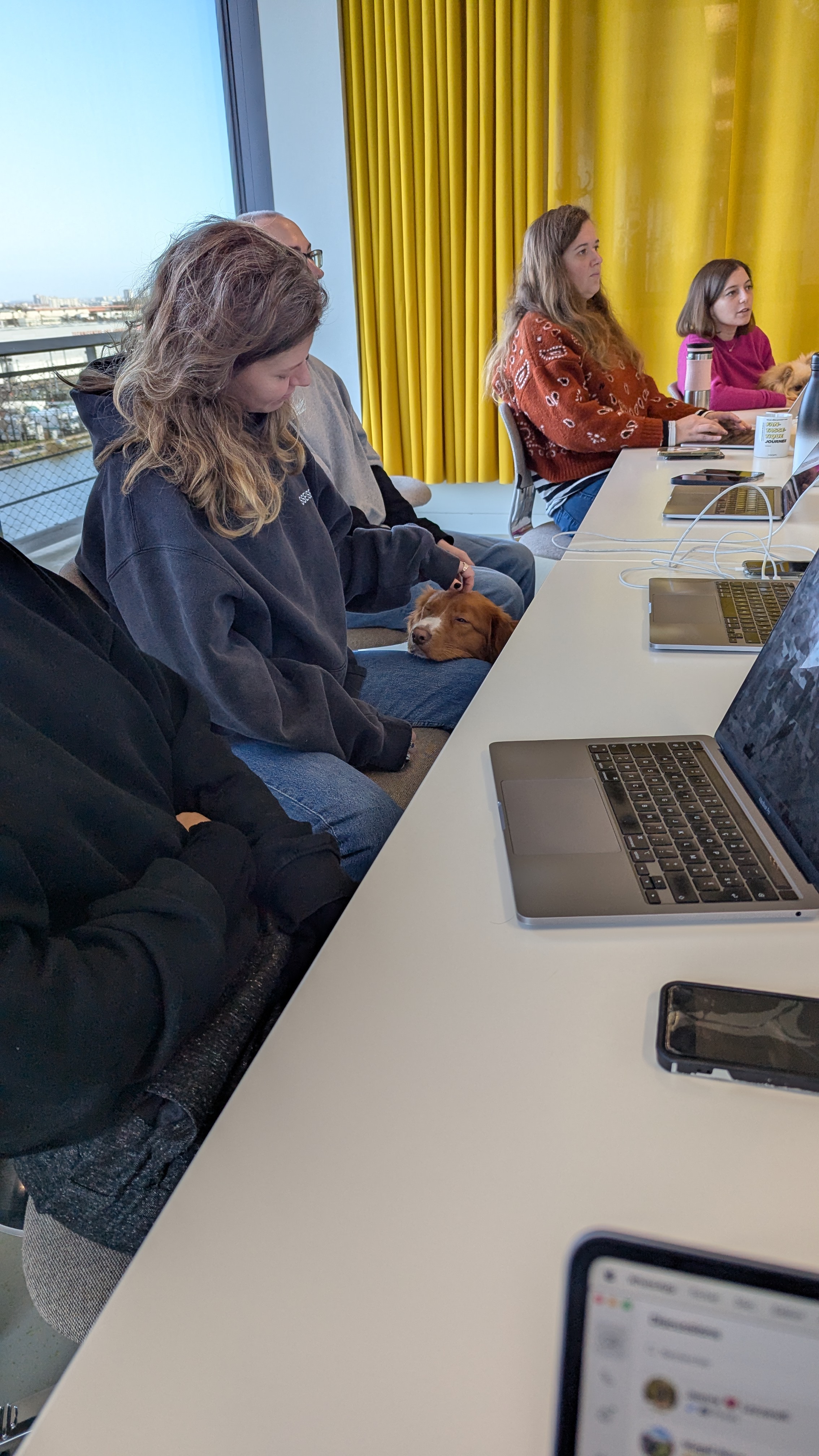 Réunion autour d’une table de bureau, une personne caressant un chien roux endormi sur ses genoux.