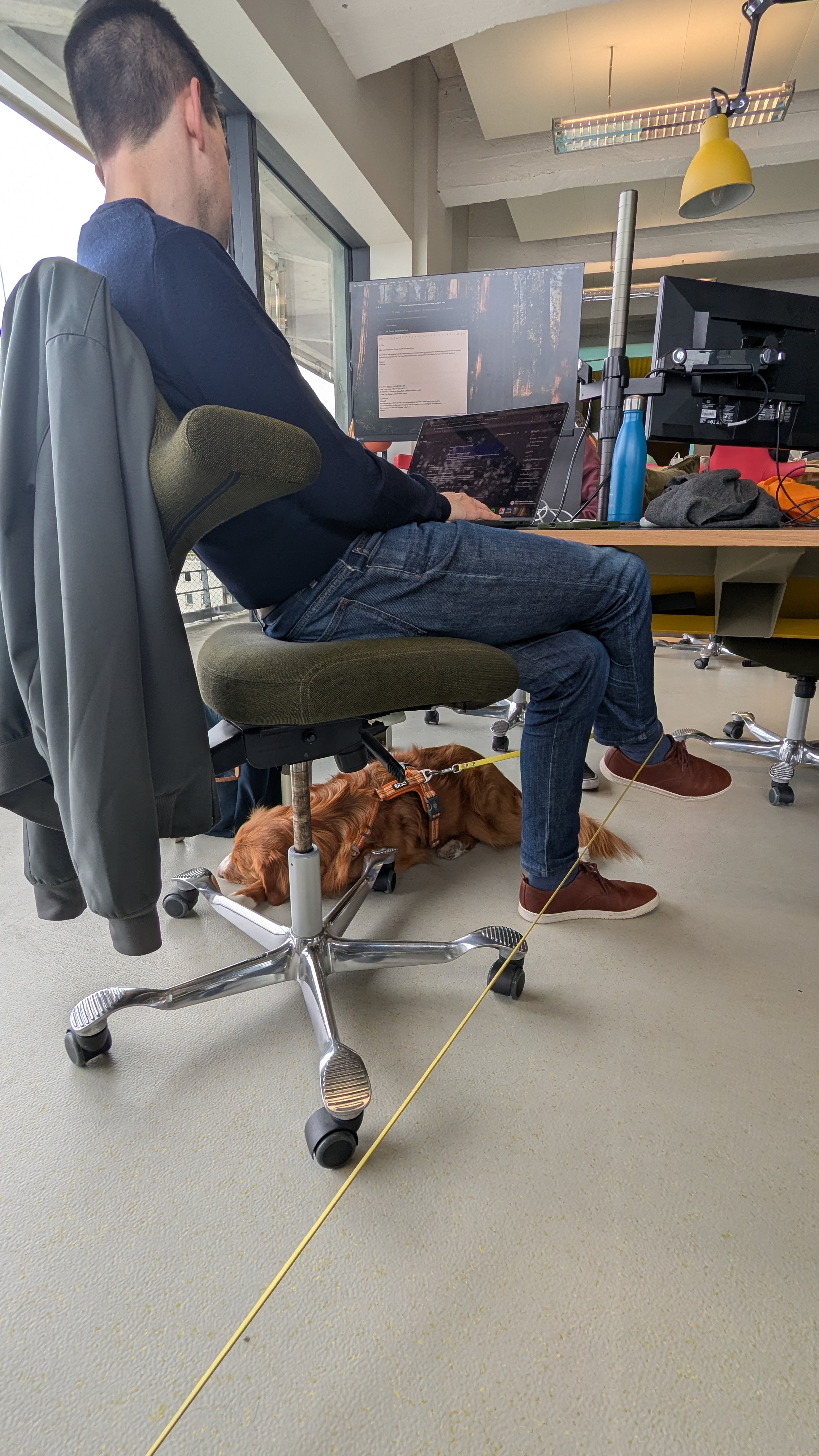 Homme travaillant sur ordinateur dans un open space, chien allongé sous sa chaise.